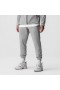 Performance Fleece Jogger Slate Grey | Men ASRV Joggers & Pants