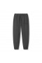Micro-Ferry Jogger Space Grey | Herr ASRV Joggers & Byxor