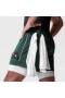 Ion-Mesh 5" Liner Short Waldgrün | Herren ASRV Shorts