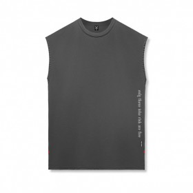  Silver-Lite™ 2.0 Oversized Cutoff Space Grey "otwr" | Herren ASRV Tanktops